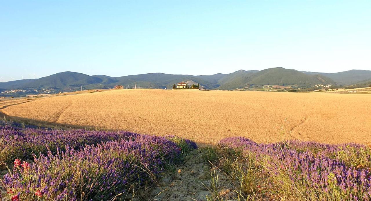 Agriturismo L'Impero Santa Luce Eksteriør bilde