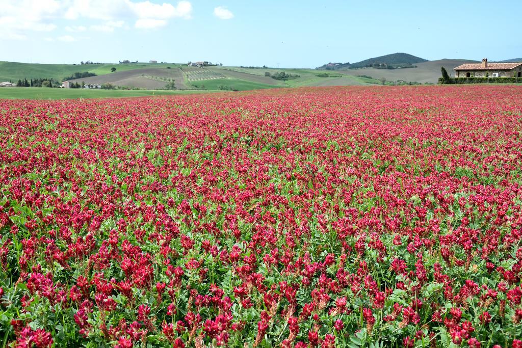 Agriturismo L'Impero Santa Luce Eksteriør bilde